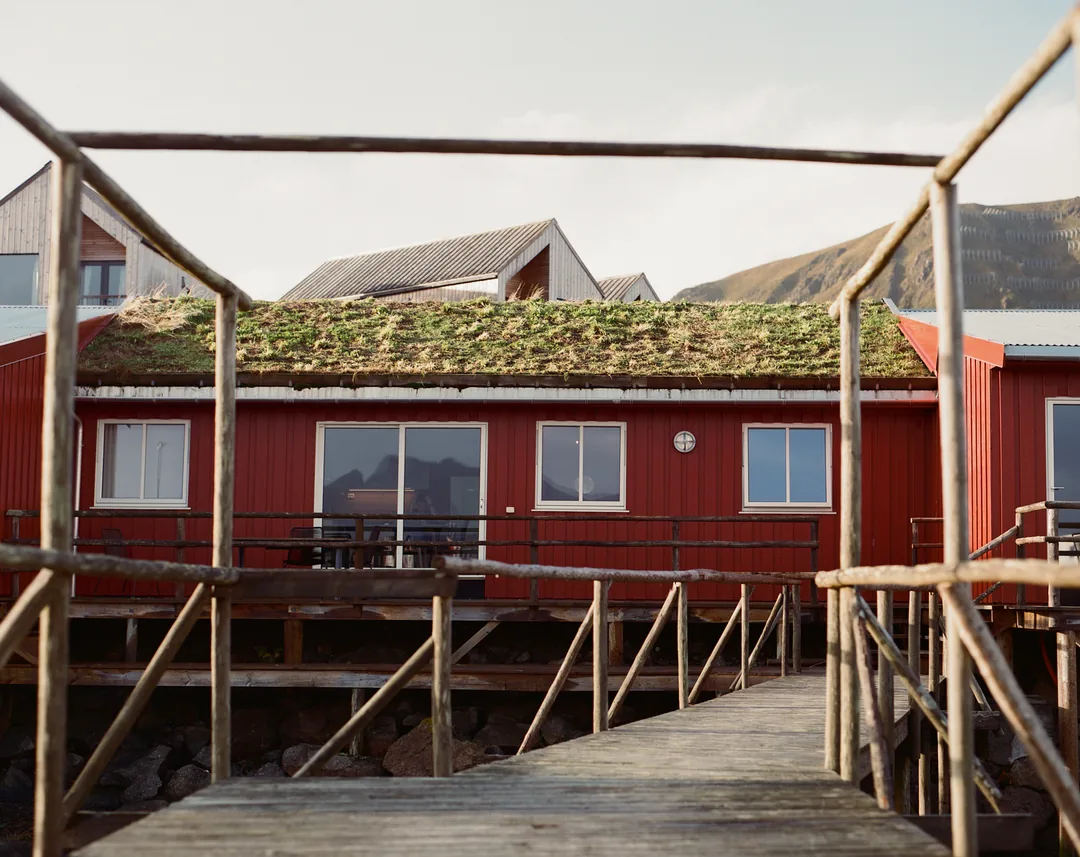 Grass Roof Boardwalk