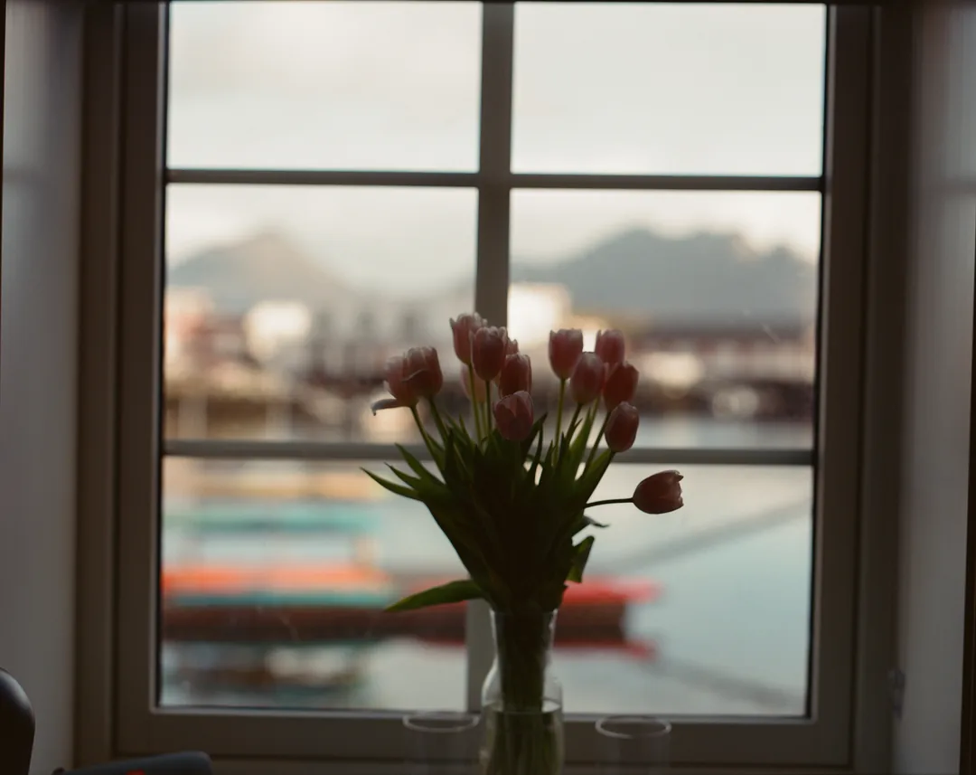 Tulips and Harbor Light