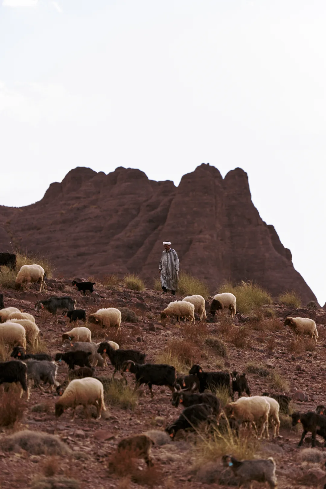 Heist _nomads 082 Cnh_3747