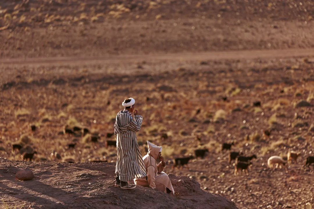 Heist _nomads 090 Cnh_3873