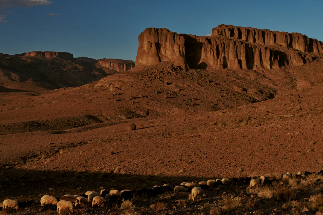 Heist _nomads 094 Cnh_1711