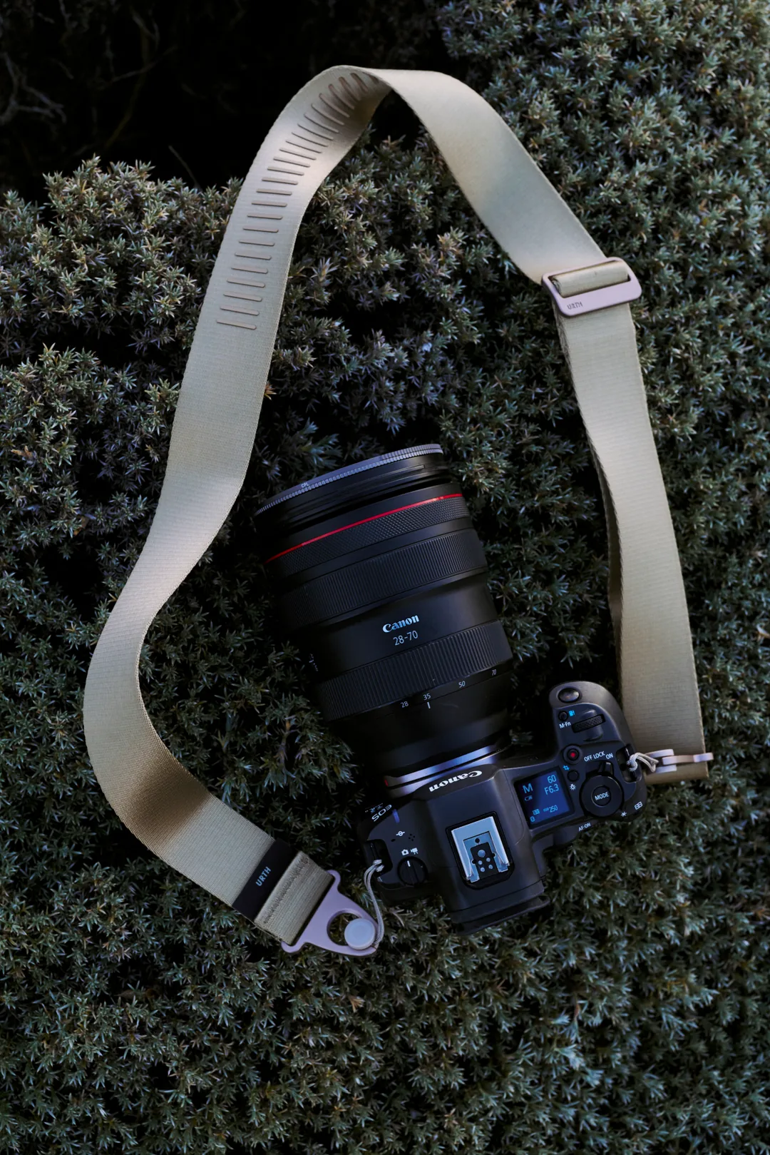 A camera, an RF 28-70 lens, and a tan URTH strap laid flat on moss