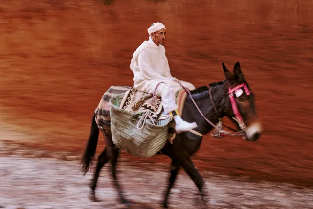 Bassouz Riding