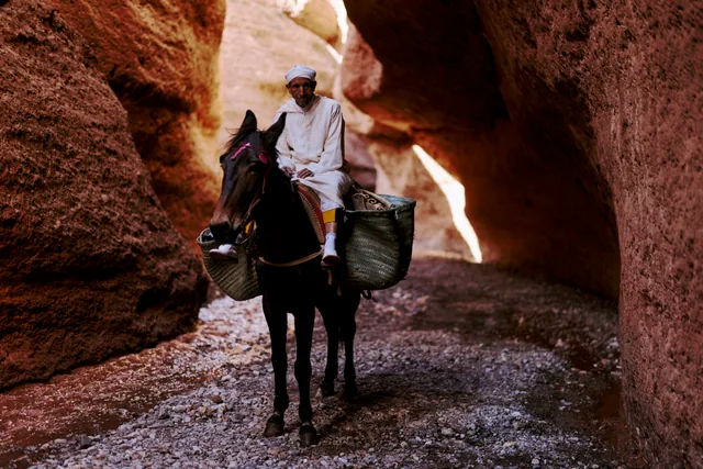 Bassouz Between Walls