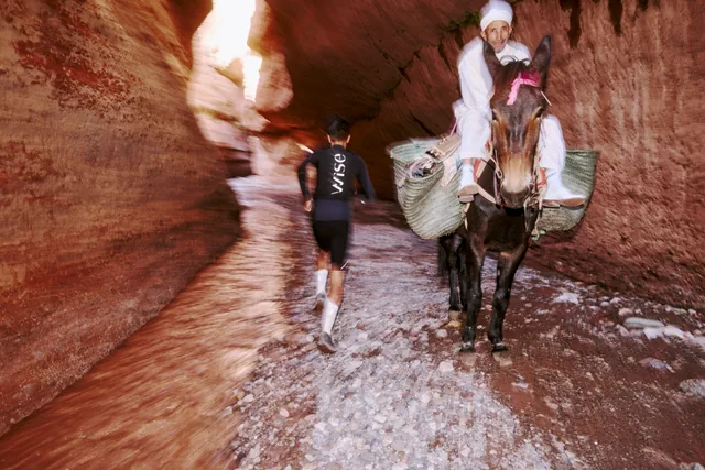 Into the Gorge